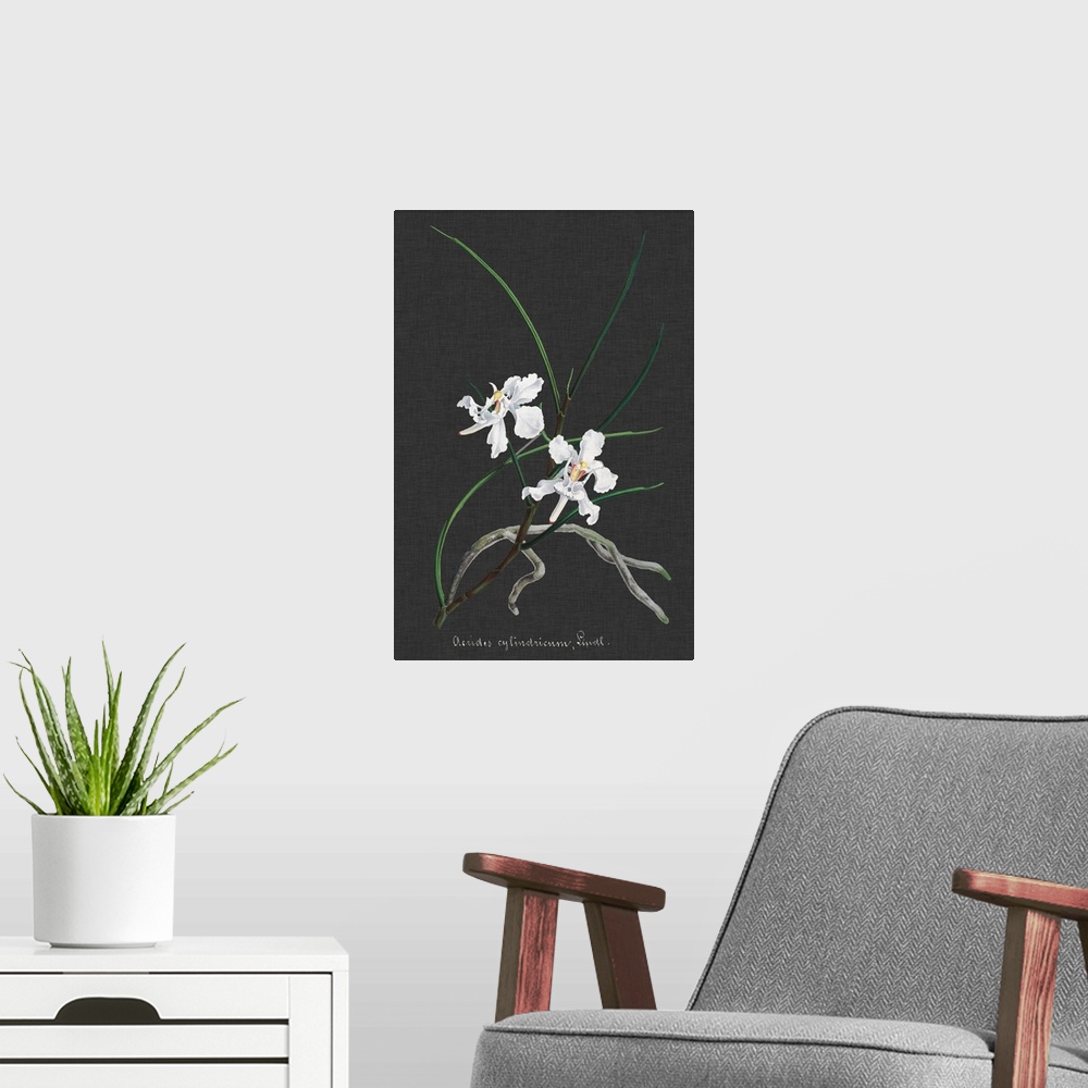 A modern room featuring Orchid on Slate II