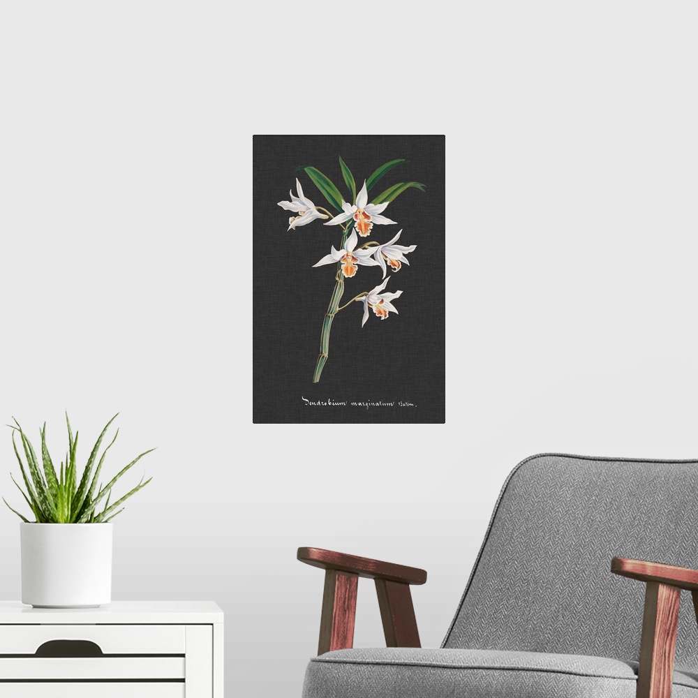 A modern room featuring Orchid on Slate IV