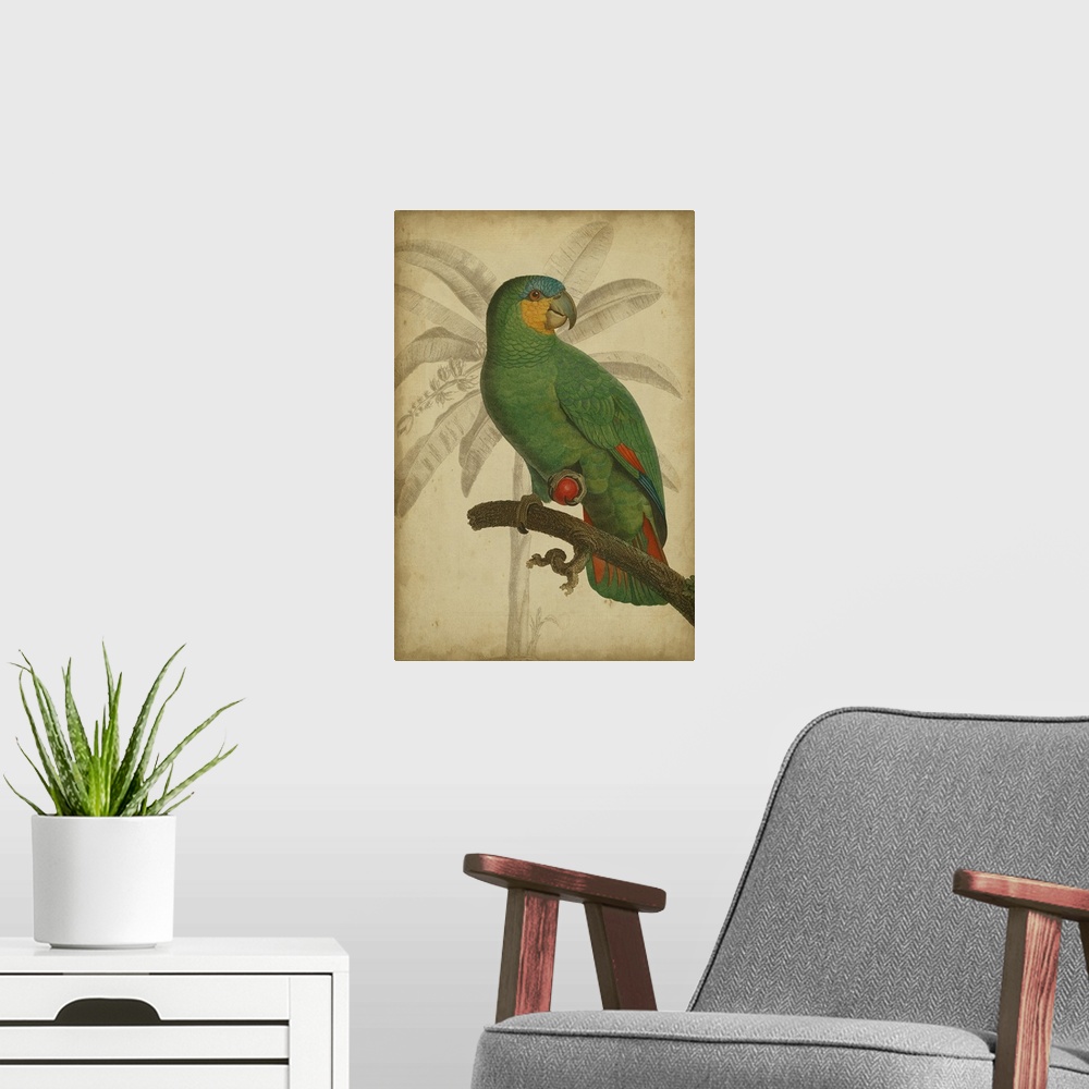 A modern room featuring Parrot and Palm I