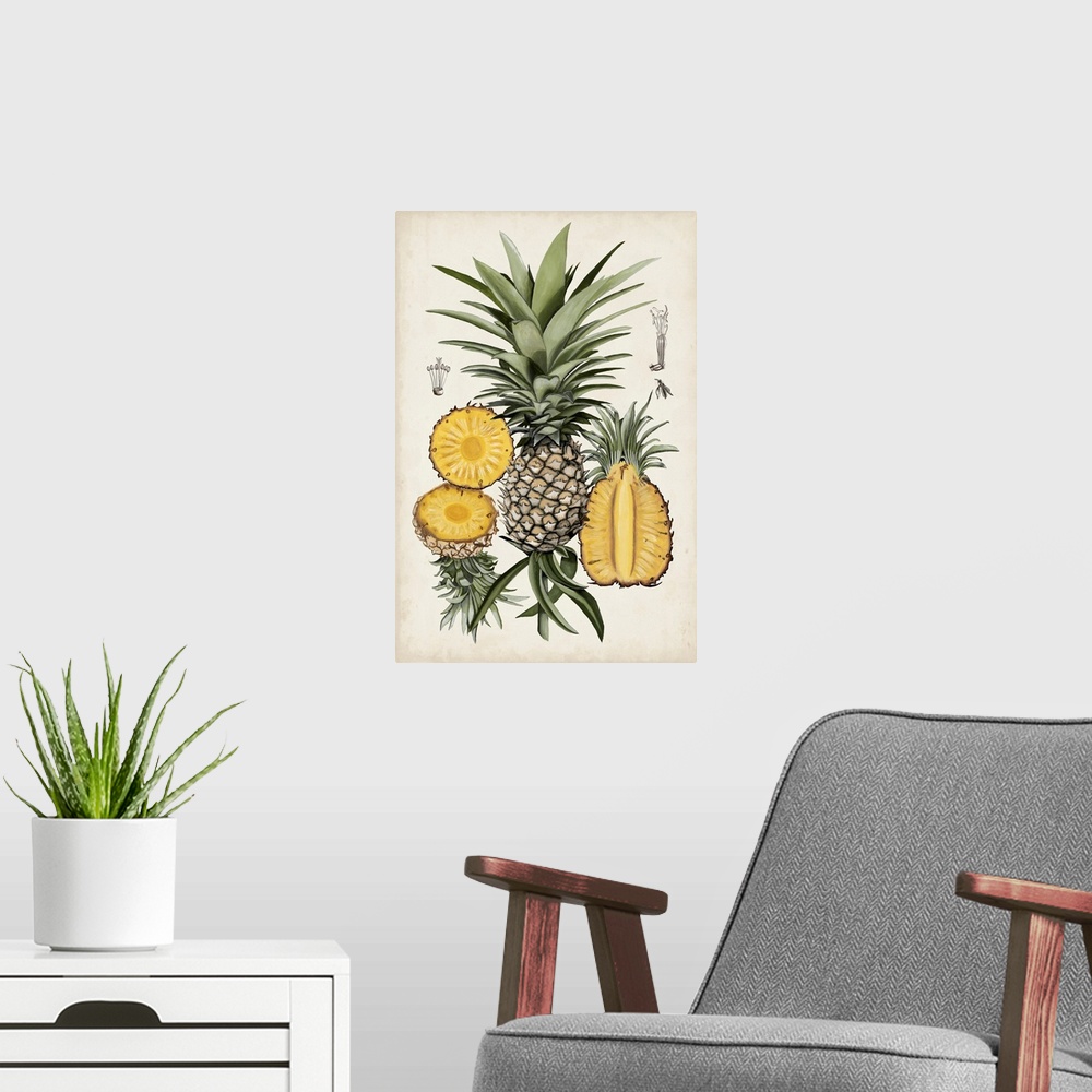 A modern room featuring Pineapple Botanical Study I