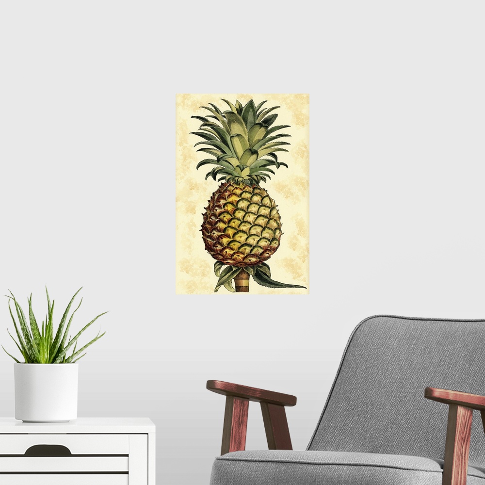 A modern room featuring Vintage stylized illustration of a pineapple.