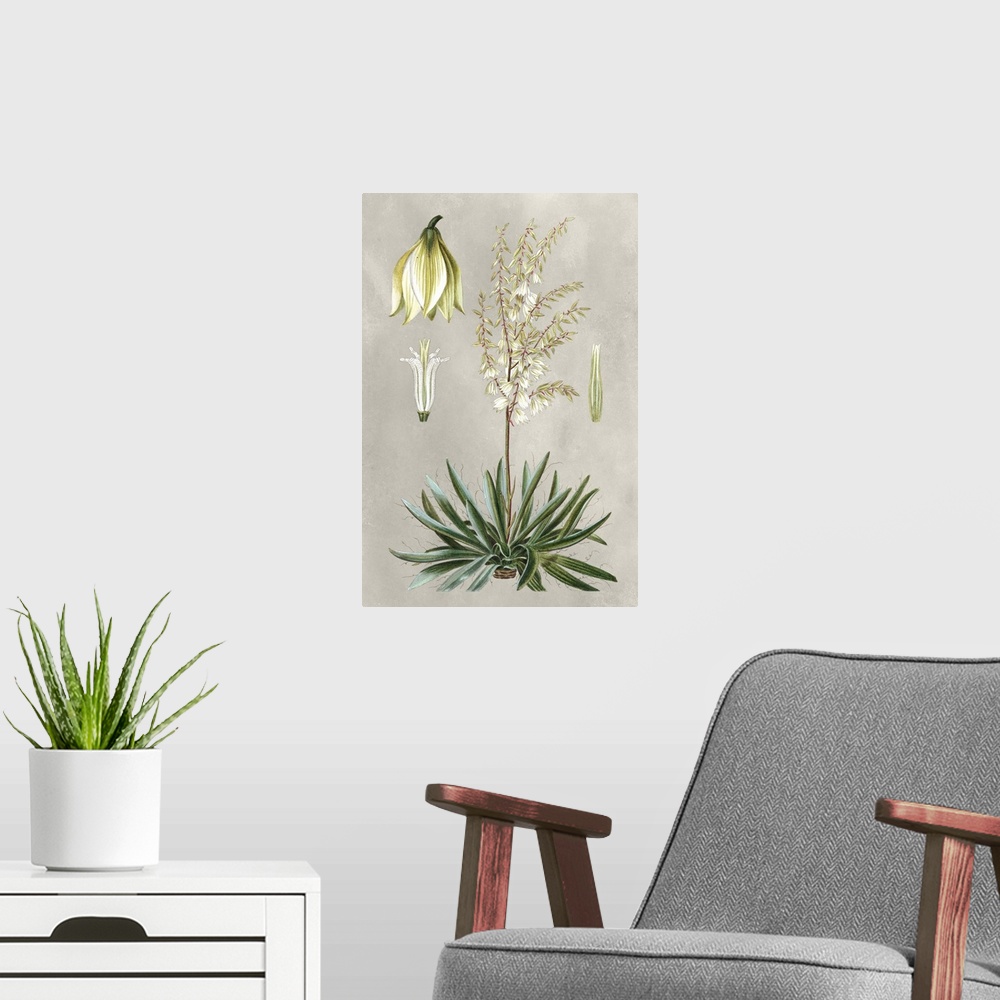 A modern room featuring Illustrated tropical botanicals in shades of green, yellow, and cream on a gray background.