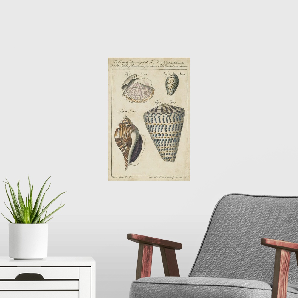 A modern room featuring Vintage Shell Study II