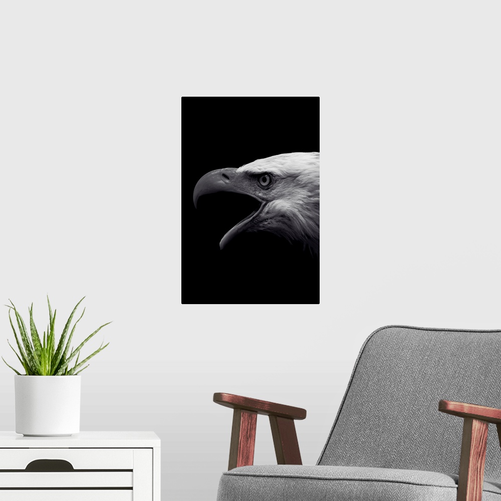 A modern room featuring Dark Eagle
