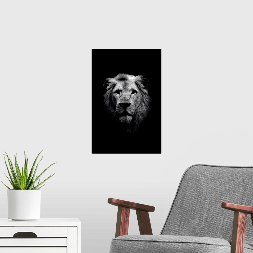 A modern room featuring Dark Lion