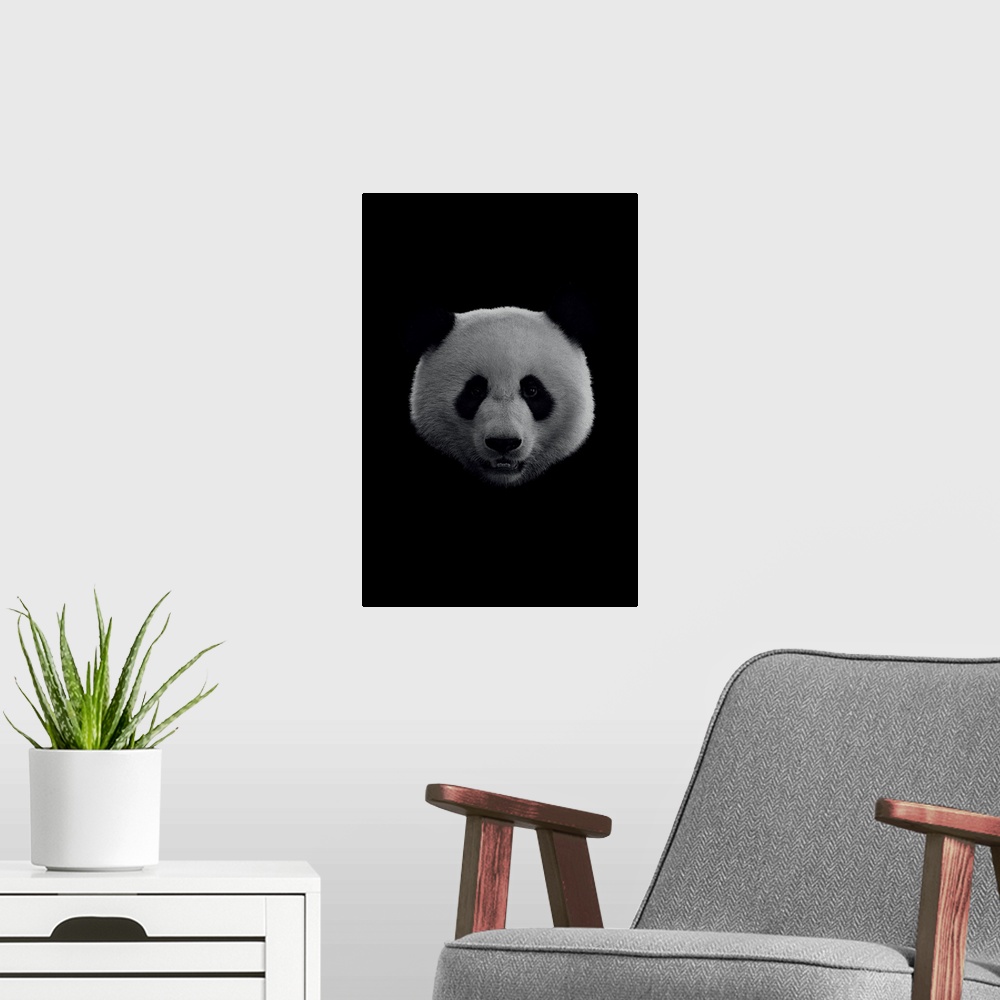 A modern room featuring Dark Panda