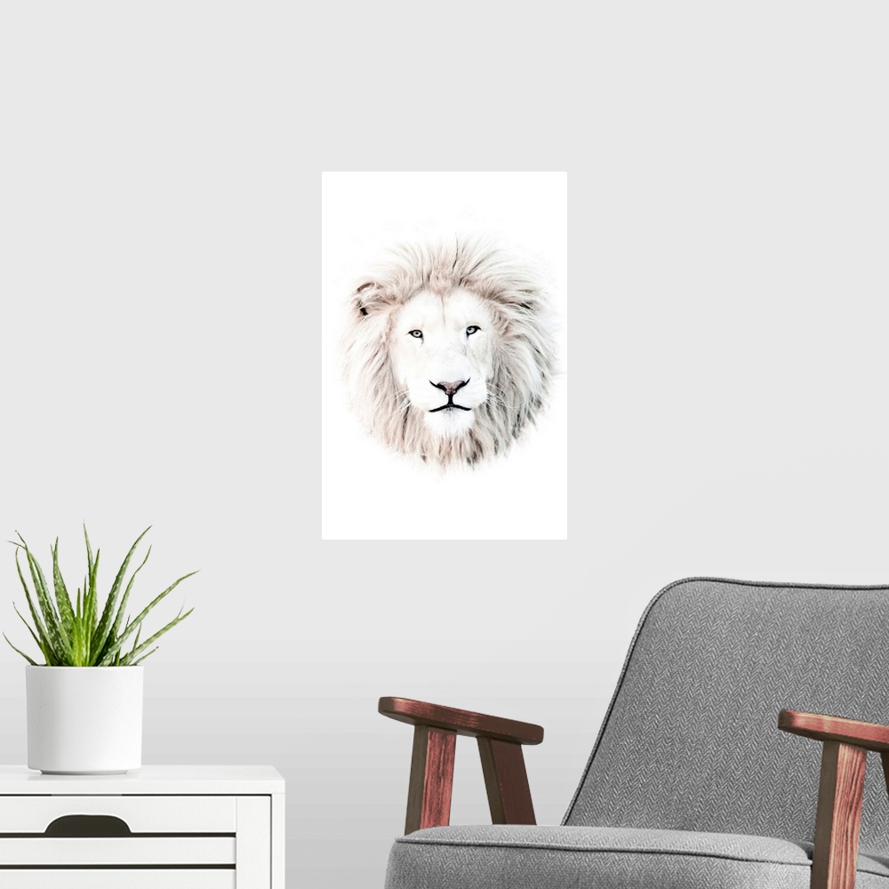 A modern room featuring White Lion