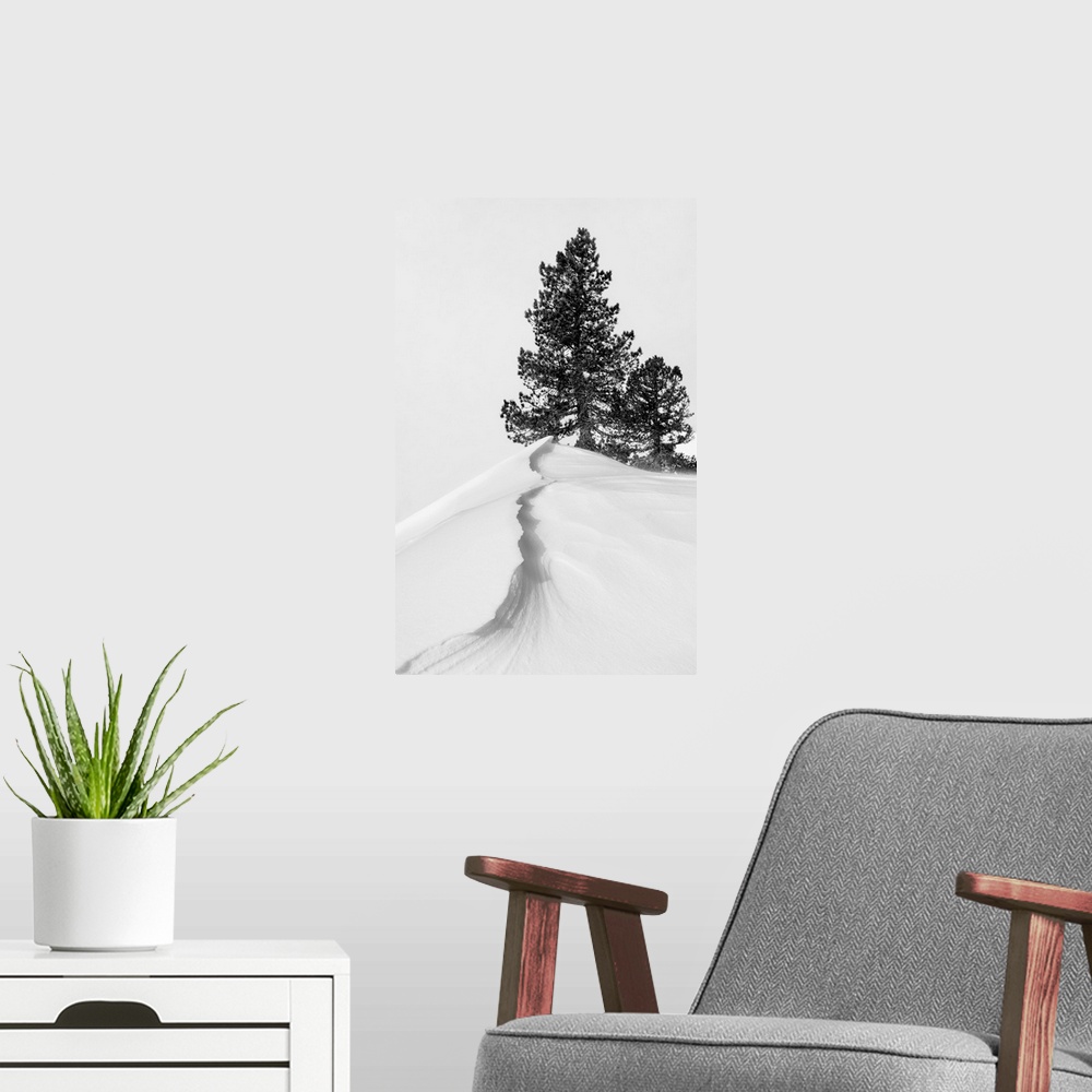 A modern room featuring About The Snow And Forms