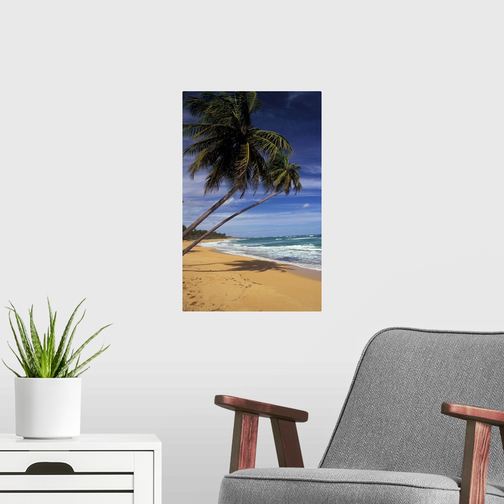 A modern room featuring Puerto Rico..Pinone's Beach.
