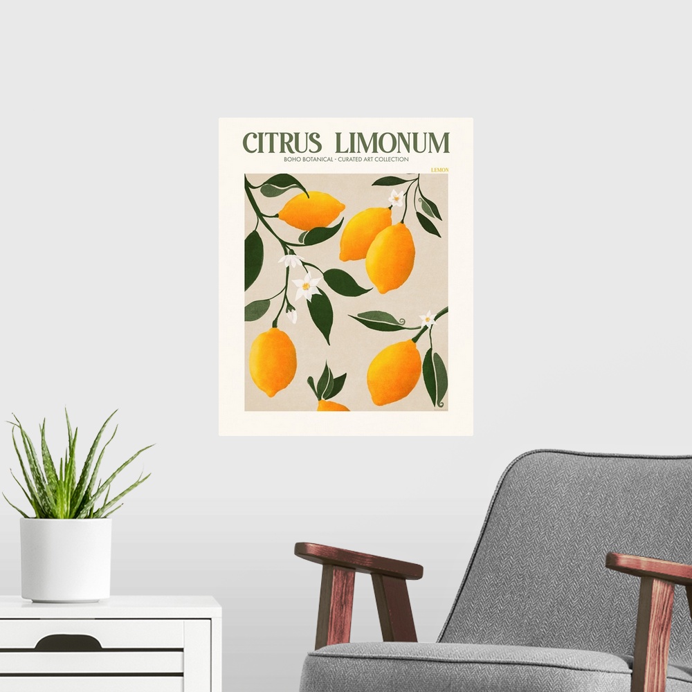 A modern room featuring Citrus Limonum