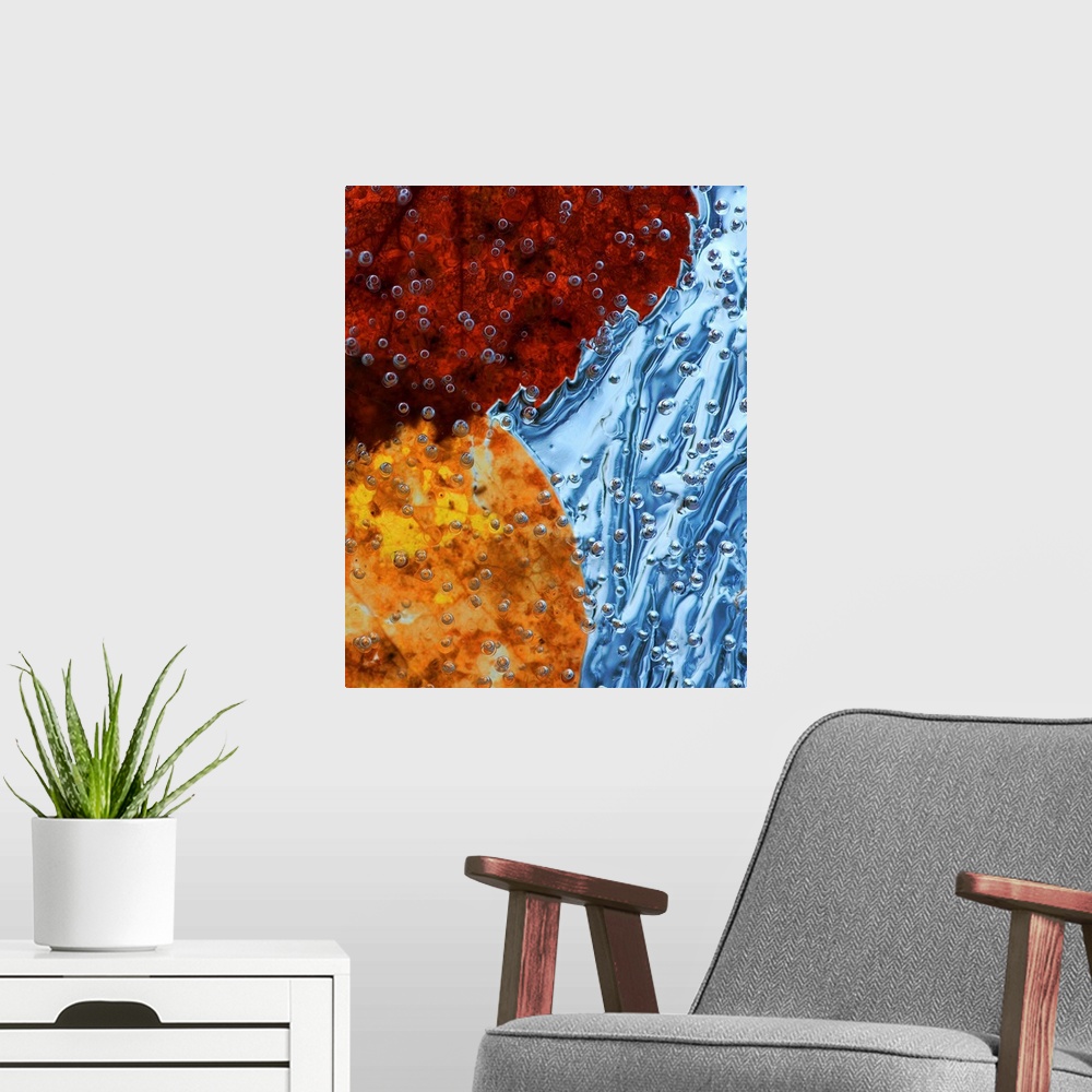 A modern room featuring Close up image of autumn leaves encased in ice with airbubbles.