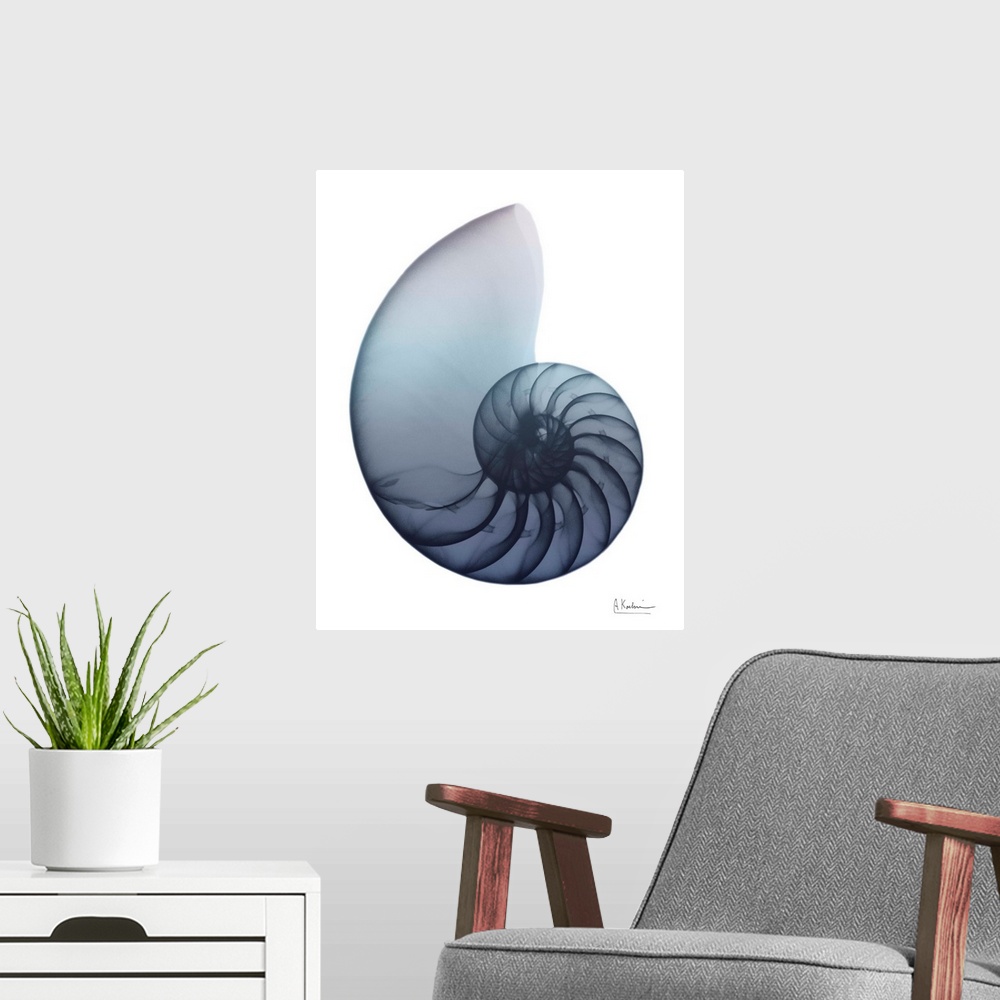 A modern room featuring Lavender Snail 4