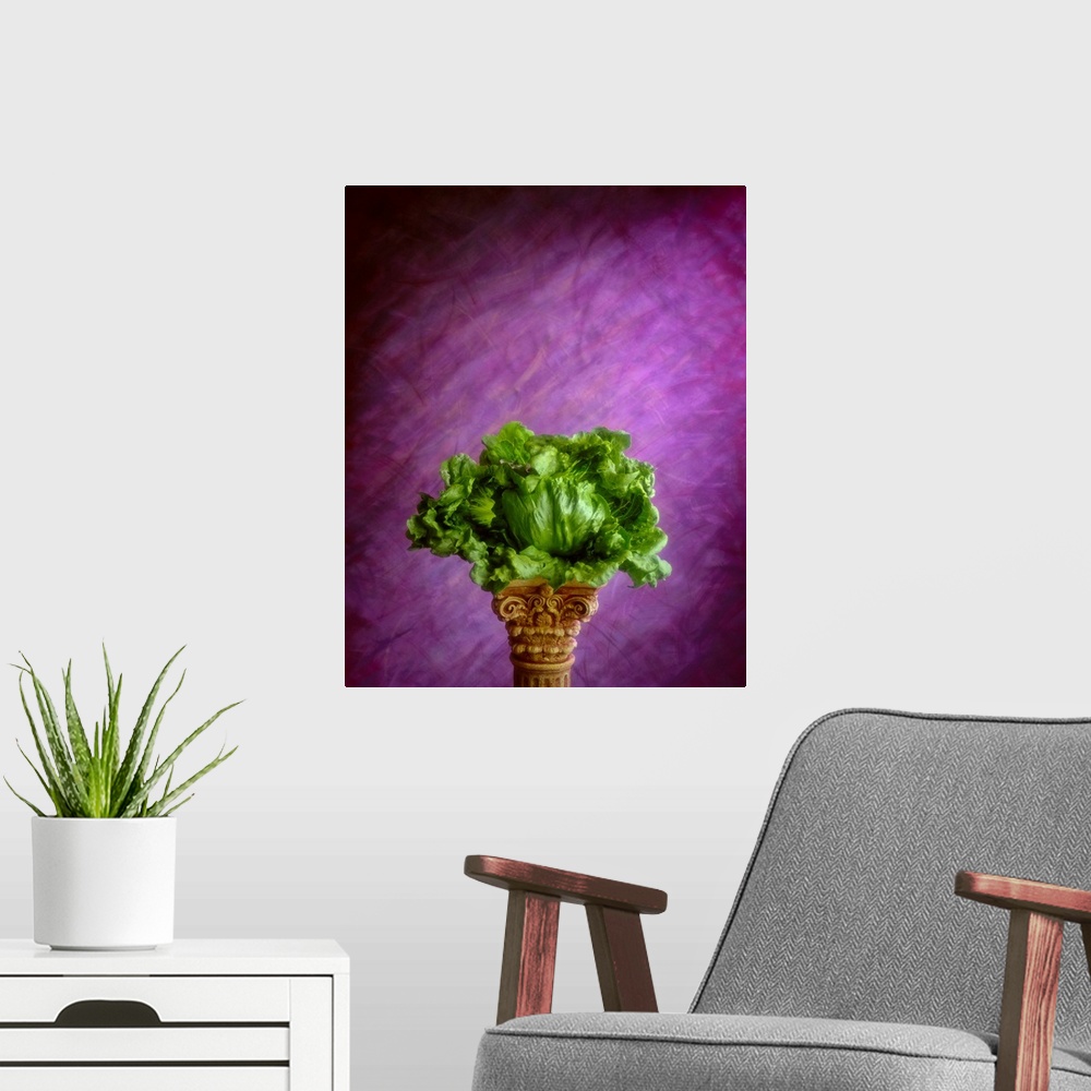 A modern room featuring Head of Iceberg lettuce with wrapper leaves on a pedestal
