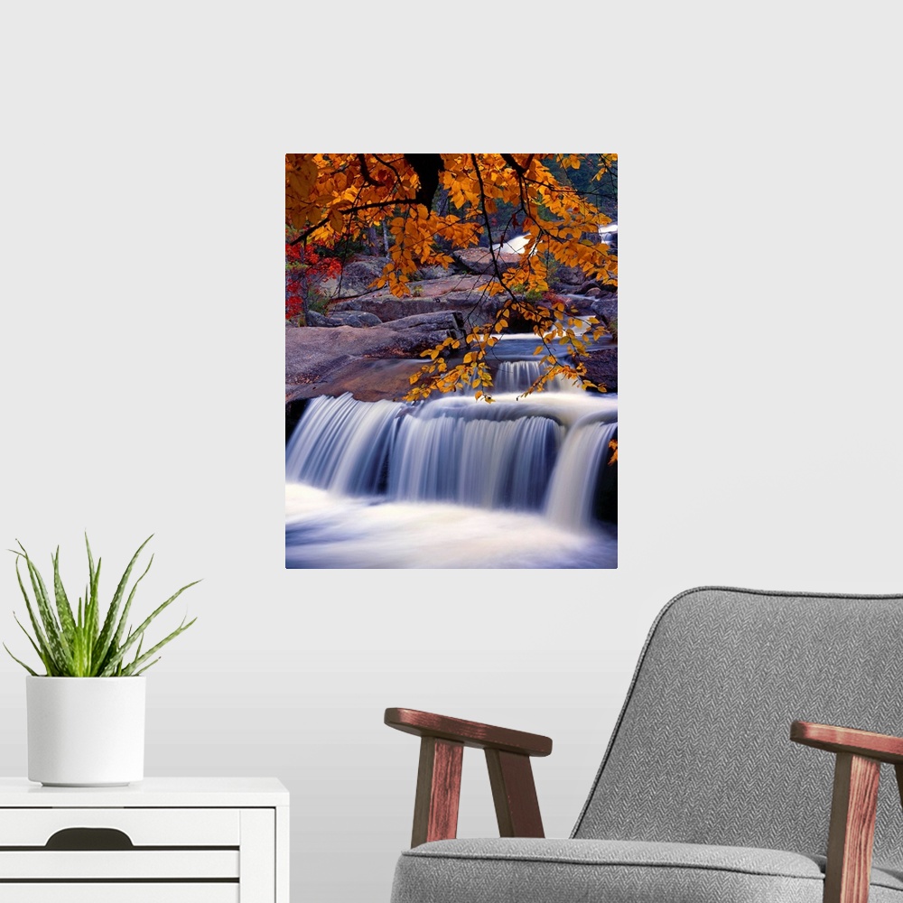 A modern room featuring Fall scene with a waterfall under a branch full of orange leaves.