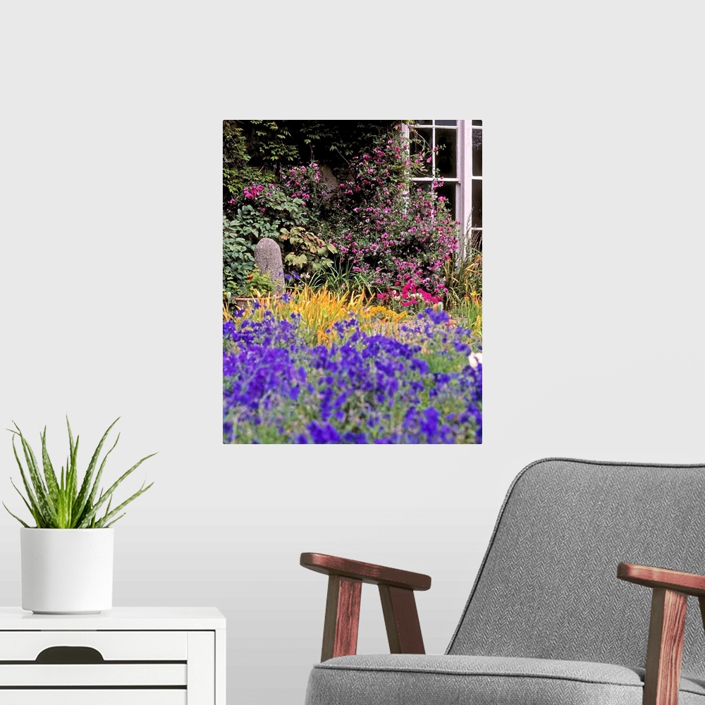A modern room featuring Primrose Hill, Lucan, Co Dublin, Ireland; Lobelia Flowers