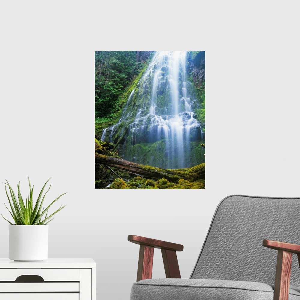 A modern room featuring Proxy Falls plummets down the bluffs. Sisters, Oregon, United States of America.