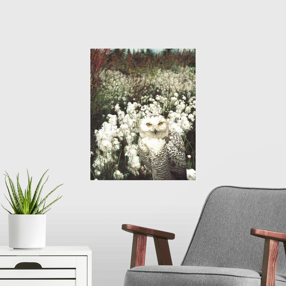 A modern room featuring A large snowy owl in a cotton field.