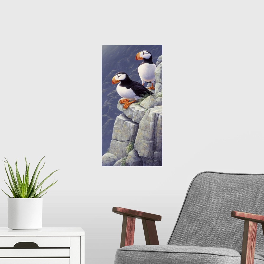 A modern room featuring Cliff Dwellers - Puffins
