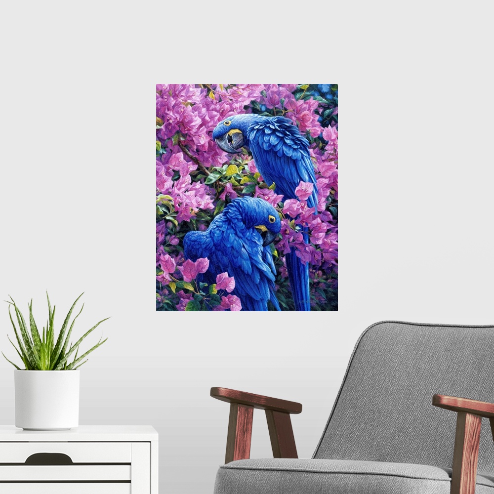 A modern room featuring Tropical Fiesta - Hyacinth Macaws And Bougainvillea
