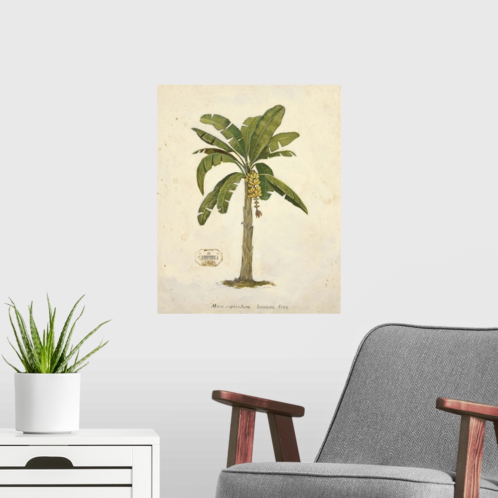 A modern room featuring Banana Palm Illustration