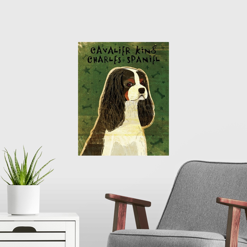 A modern room featuring Cavalier King Charles (tri-color)