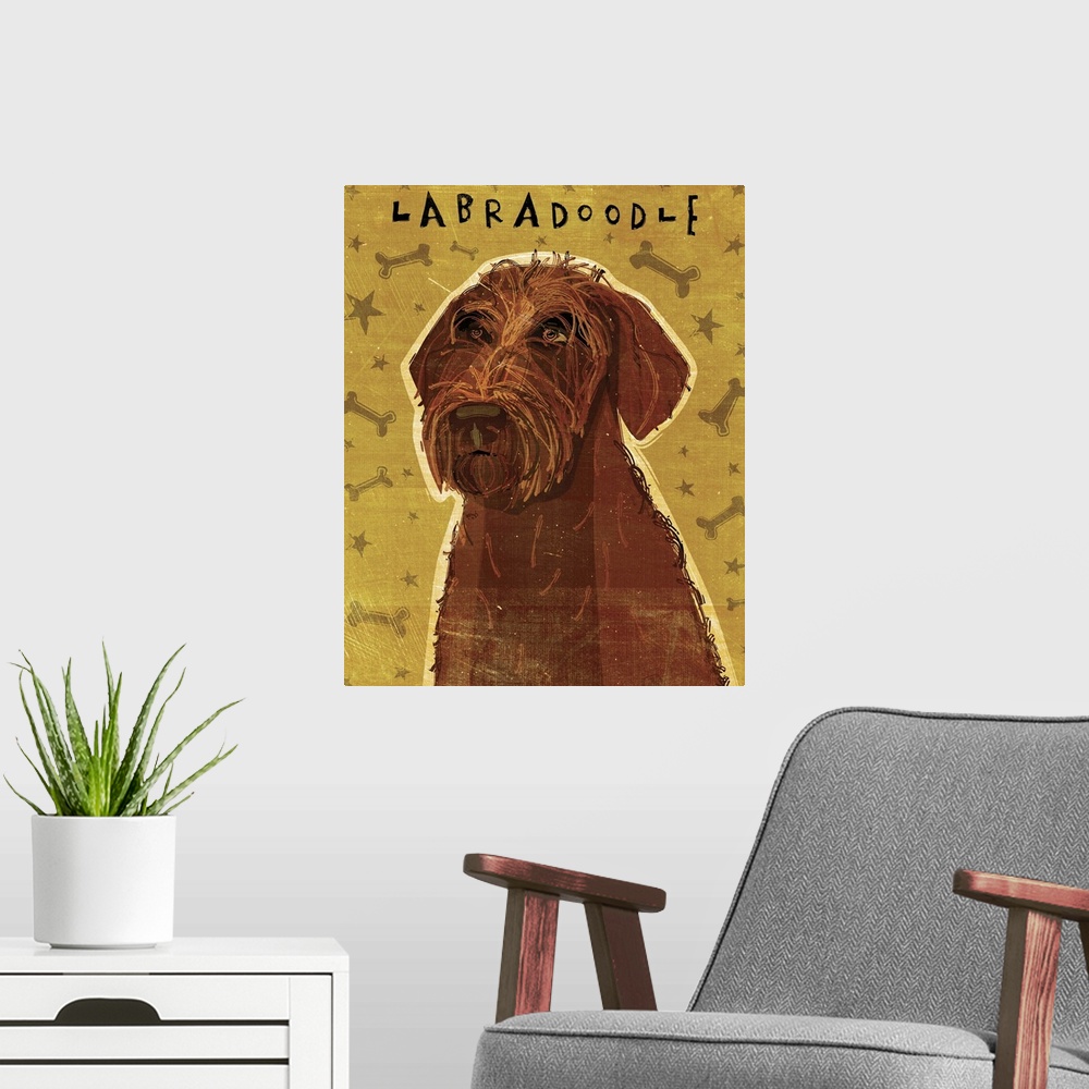 A modern room featuring Chocolate Labradoodle