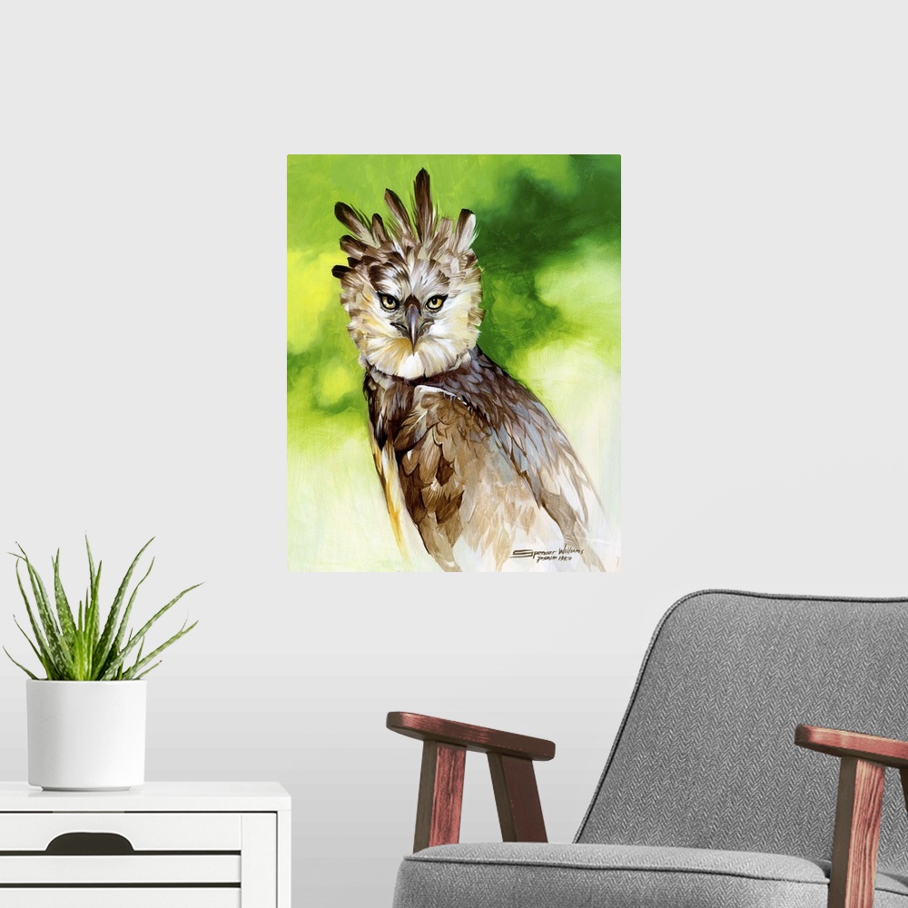 A modern room featuring Harpy Eagle