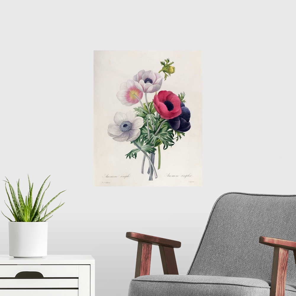 A modern room featuring BAL10625 15:Anemone: Simple, from 'Les Choix des Plus Belles Fleurs'; by Redoute, Pierre Joseph (...