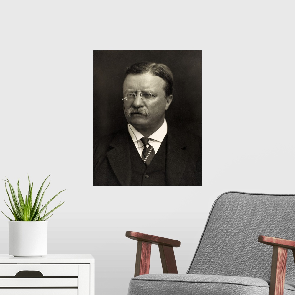 A modern room featuring Theodore Roosevelt