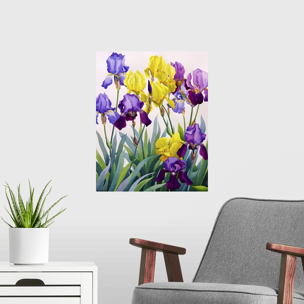 A modern room featuring Yellow and Purple Irises