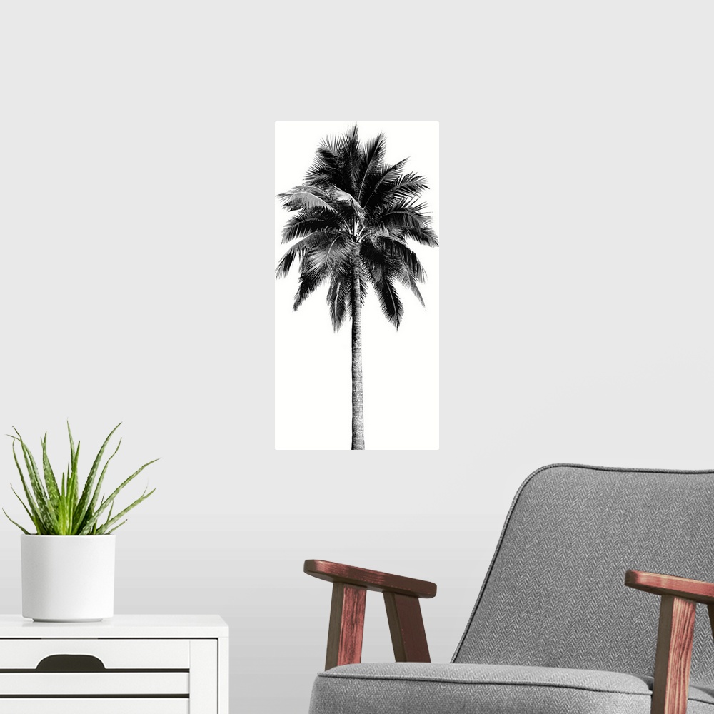 A modern room featuring Palm Tree I