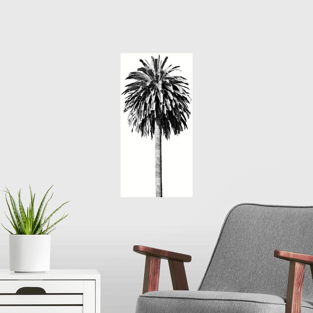 A modern room featuring Palm Tree II