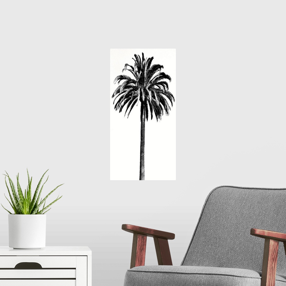 A modern room featuring Palm Tree III