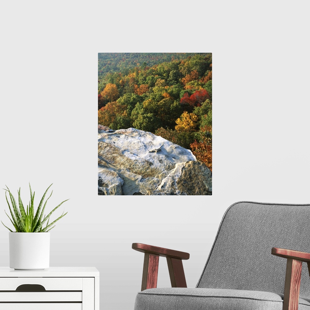 A modern room featuring USA, Arkansas, Ozark-St. Francis National Forest, Autumn at White Rocks