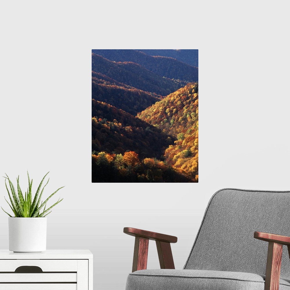 A modern room featuring USA, North Carolina, View of Great Smoky Mountains National Park
