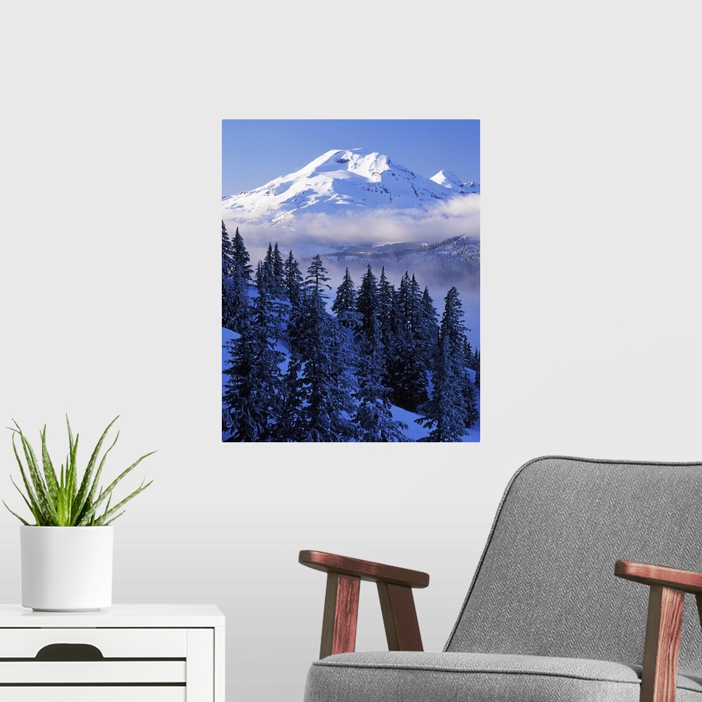 A modern room featuring USA, Oregon, Deschutes National Forest, South Sister