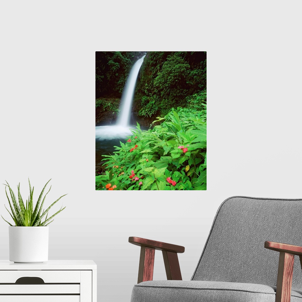 A modern room featuring Central America, Costa Rica, Tropics, La Paz waterfalls