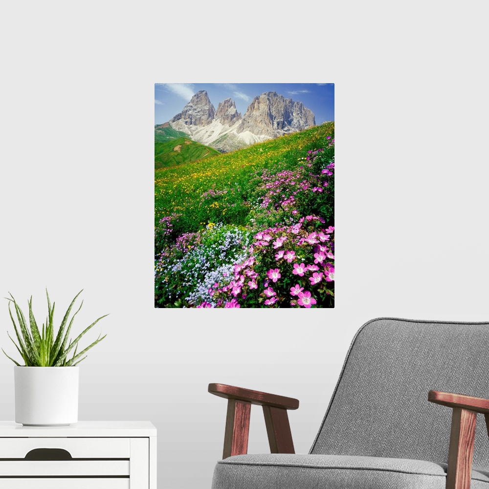 A modern room featuring Italy, Dolomites, Sassolungo, Passo Sella, meadow and Sassolungo