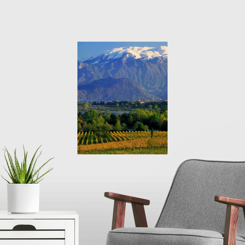 A modern room featuring Italy, Lombardy, Lago d'Iseo, vineyards and Monte Isola island
