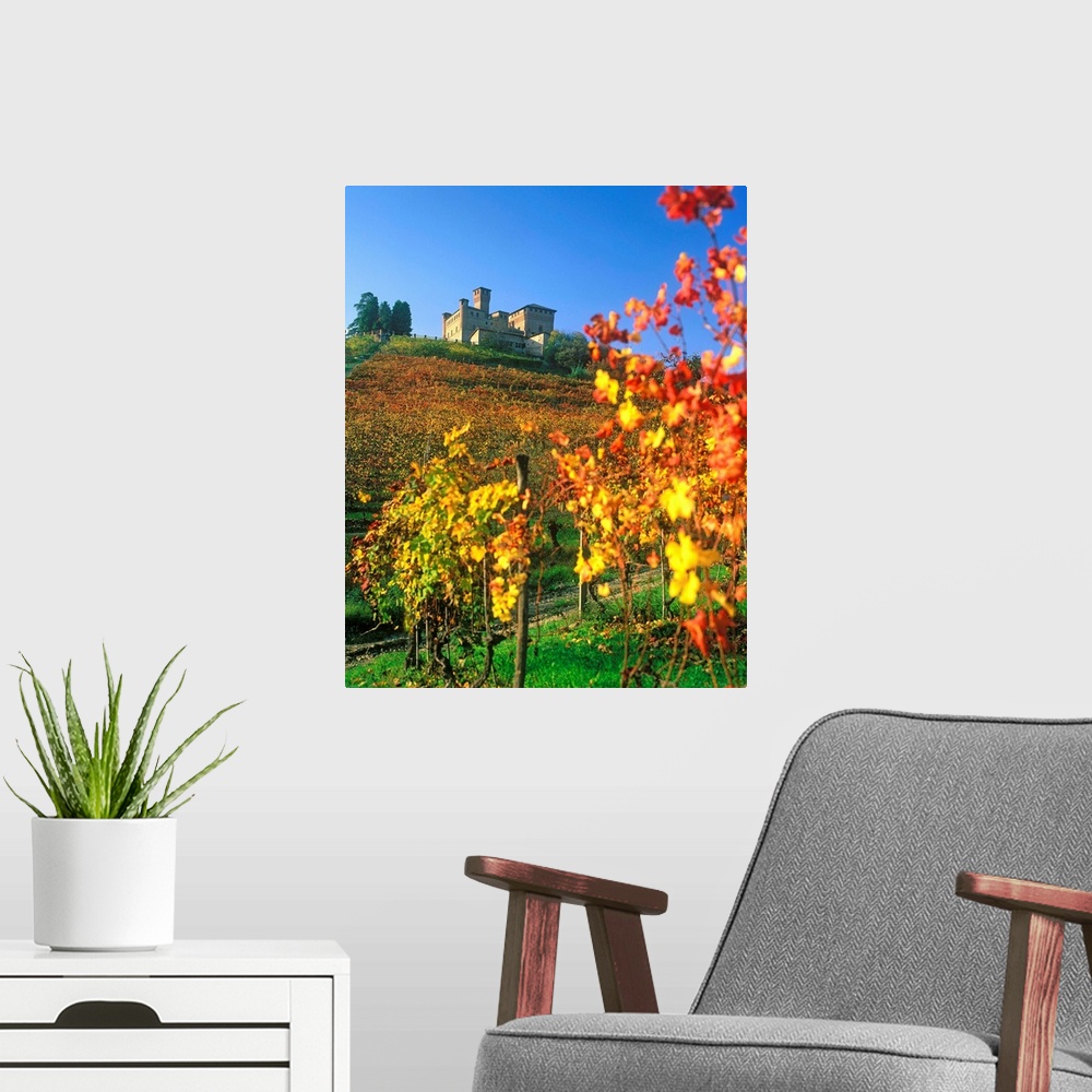 A modern room featuring Italy, Italia, Piedmont, Piemonte, Langhe, Vineyards and Grinzane Cavour castle