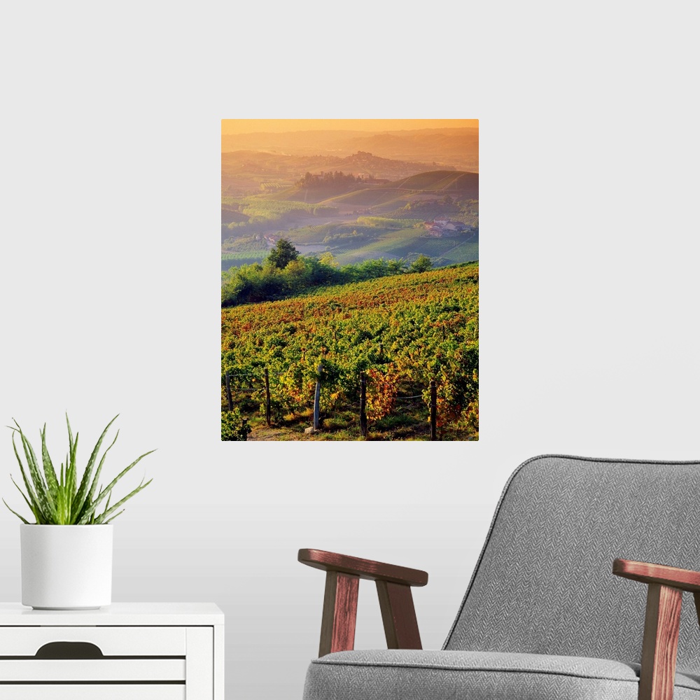 A modern room featuring Italy, Piedmont, Monferrato, hills and vineyards