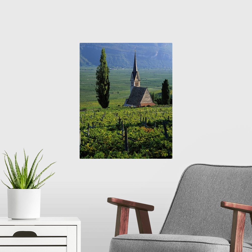 A modern room featuring Italy, South Tyrol, Wine road, Appiano (Eppan), vineyards and apple tree orchard