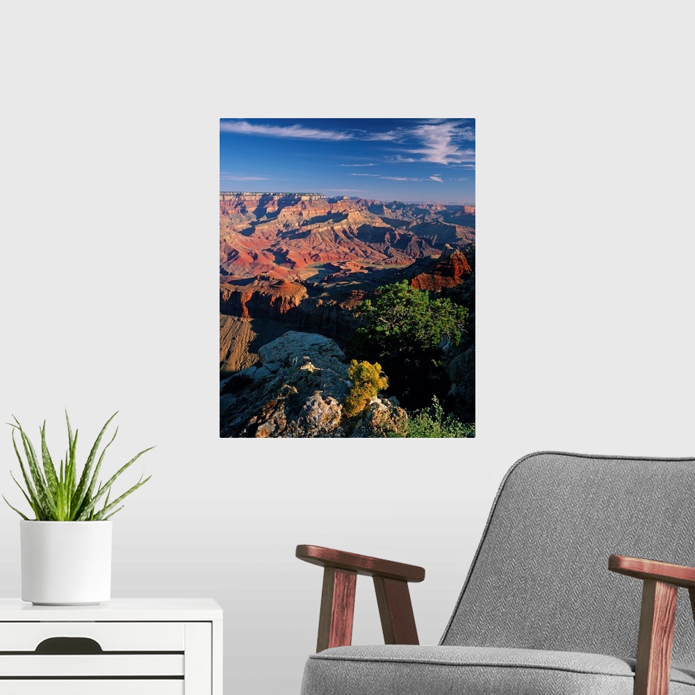 A modern room featuring United States, Arizona, Grand Canyon, Grand Canyon National Park, view from Lipan Point