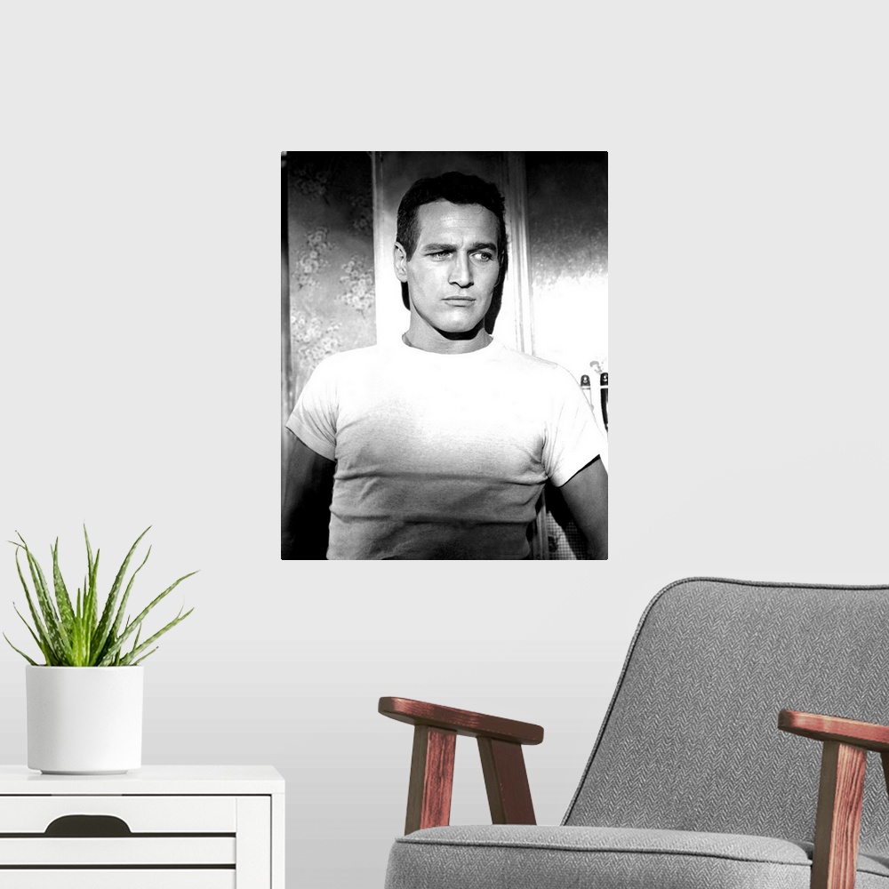 A modern room featuring Paul Newman in The Hustler - Vintage Publicity Photo
