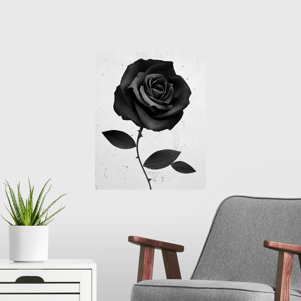A modern room featuring Fabric Rose