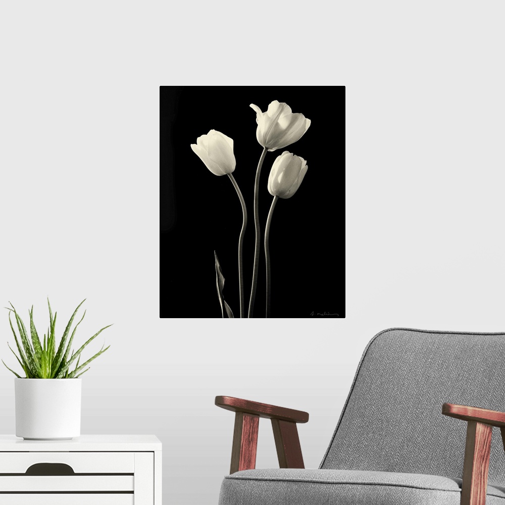 A modern room featuring Botanical Elegance Tulips - mini