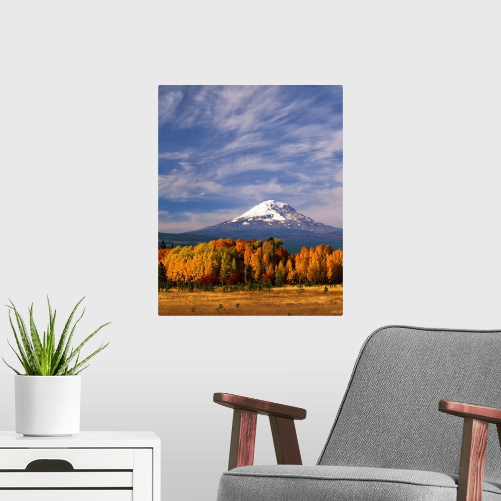 A modern room featuring Mount Adams seen from a forest in fall colors with clouds overhead.