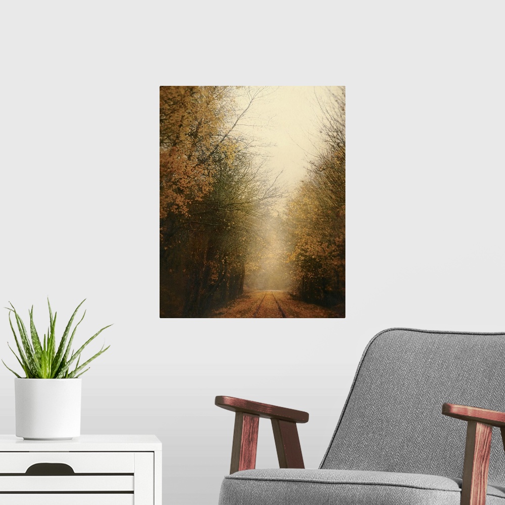 A modern room featuring Vertical, large fine art photograph of a narrow road covered in fallen leaves, surrounded by half...