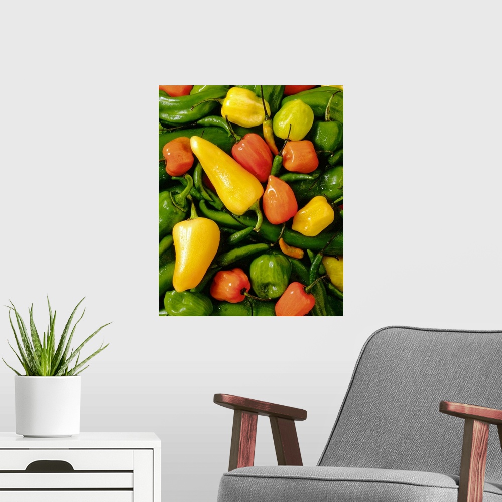 A modern room featuring This vertical photograph of food is a pile of hot peppers.