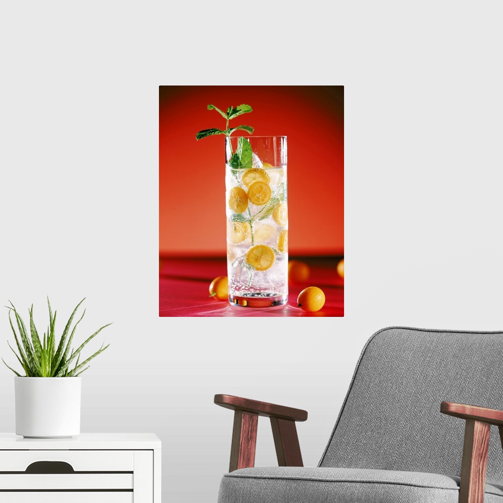 A modern room featuring Cocktail with lemon slices and mint leaf, close-up